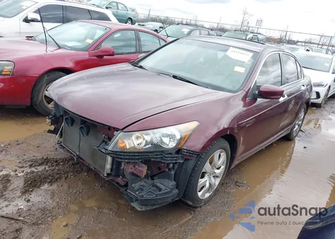 2010 Honda Accord 2.4 Ex-L из США, поврежденный, VIN 1HGCP2F80AA153542